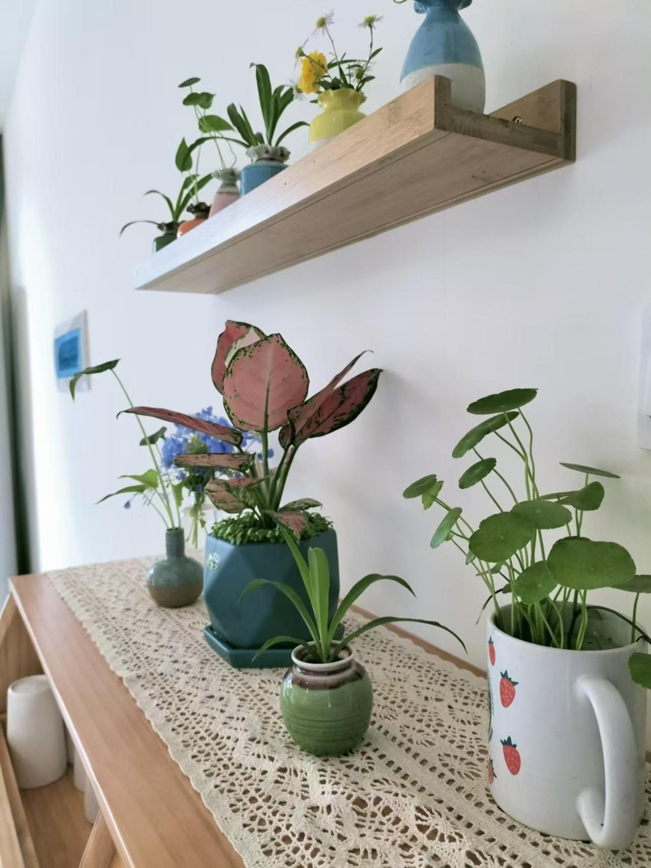 מלון דוג'יאנגיאן Qingcheng Mountain Huakai Shiminsu מראה חיצוני תמונה